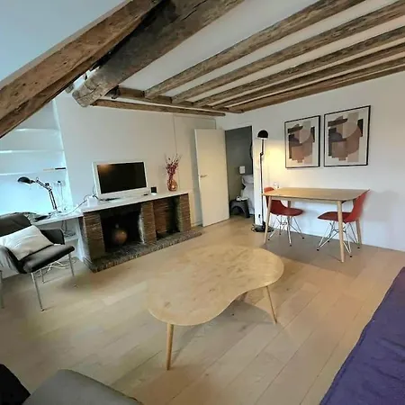 公寓 Elegant Loft Place Vendome